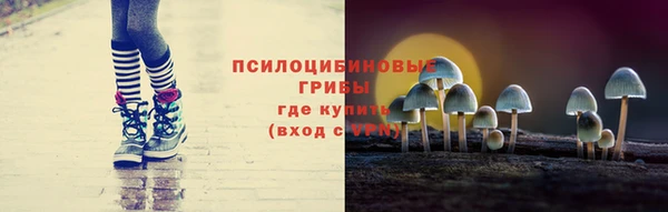 не бодяженный Аркадак