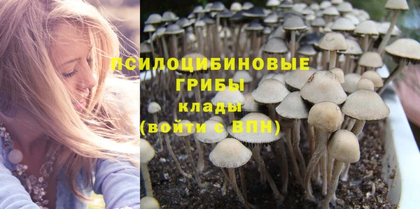 mdpv Пестово