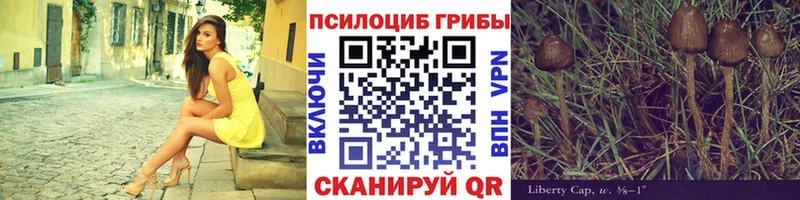 Псилоцибиновые грибы мицелий  купить наркоту  Бокситогорск 